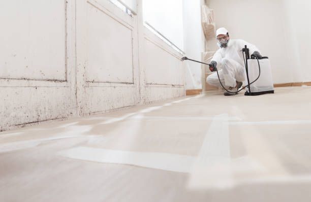 24/7 Emergency Mold Remediation experts in Gainesville, VA