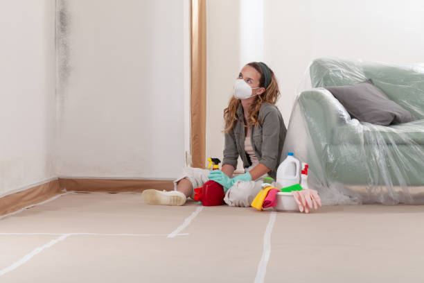 Reliable Mold Remediation contractor in Gainesville, VA by Mold Remediation HQ
